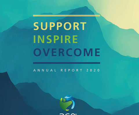 Support Inspire Overcome Annual Report 2020
